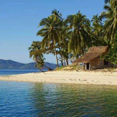 万博·ManBetX手机下载手机版